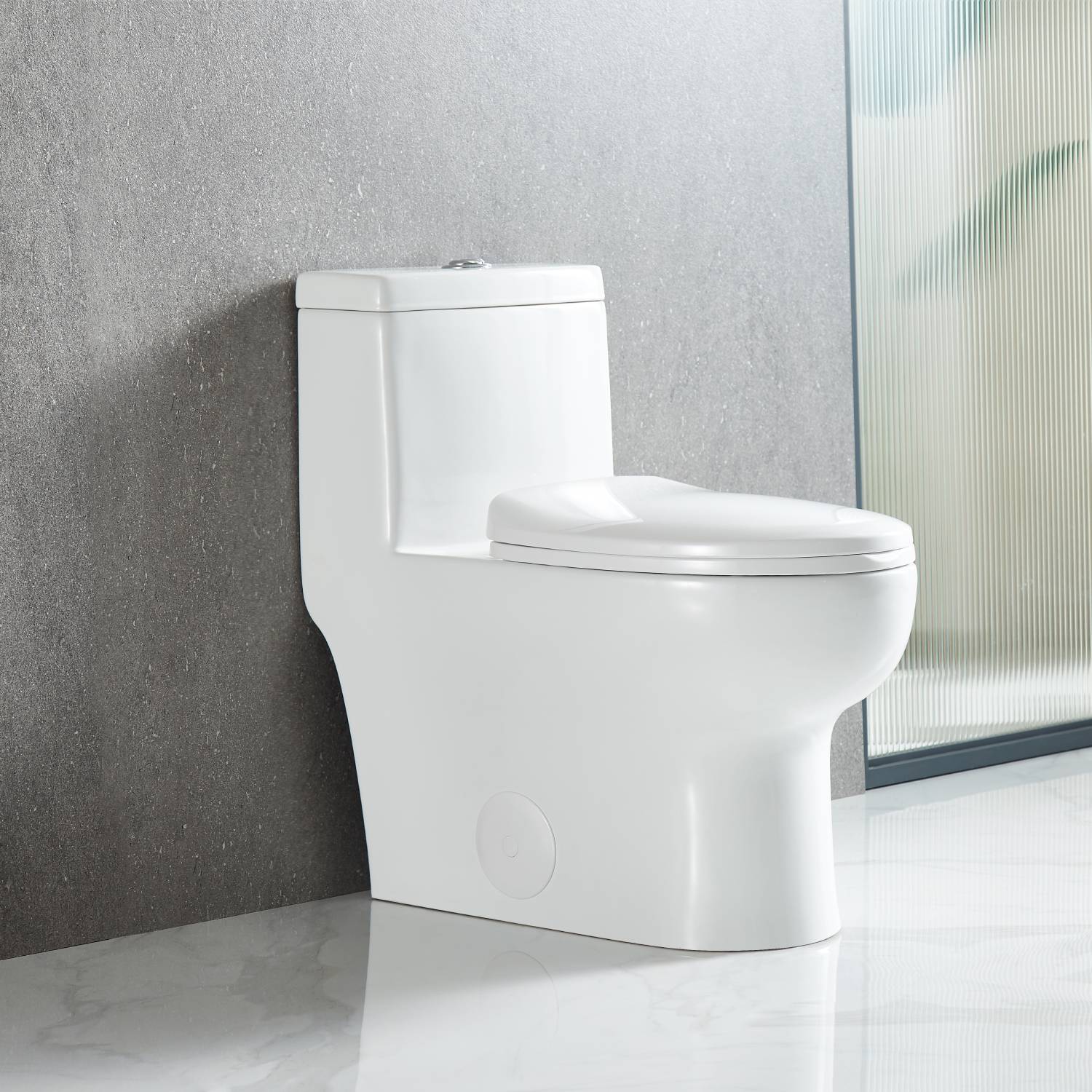 One Piece Toilet T9 01
