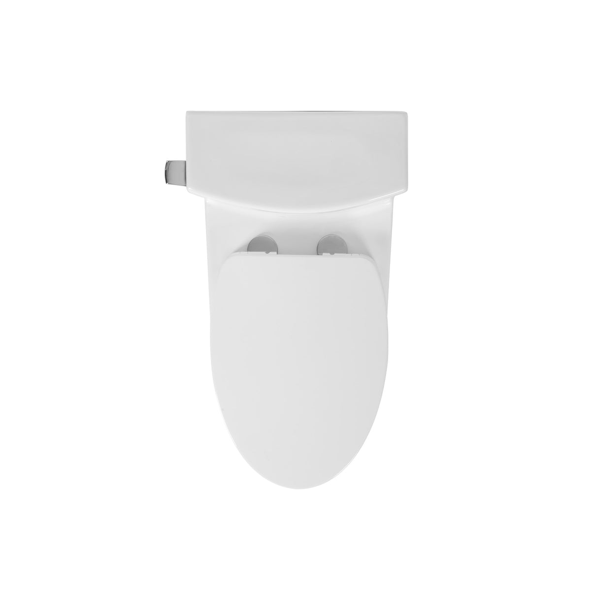One Piece Toilet T9 06 Chair Height ADA