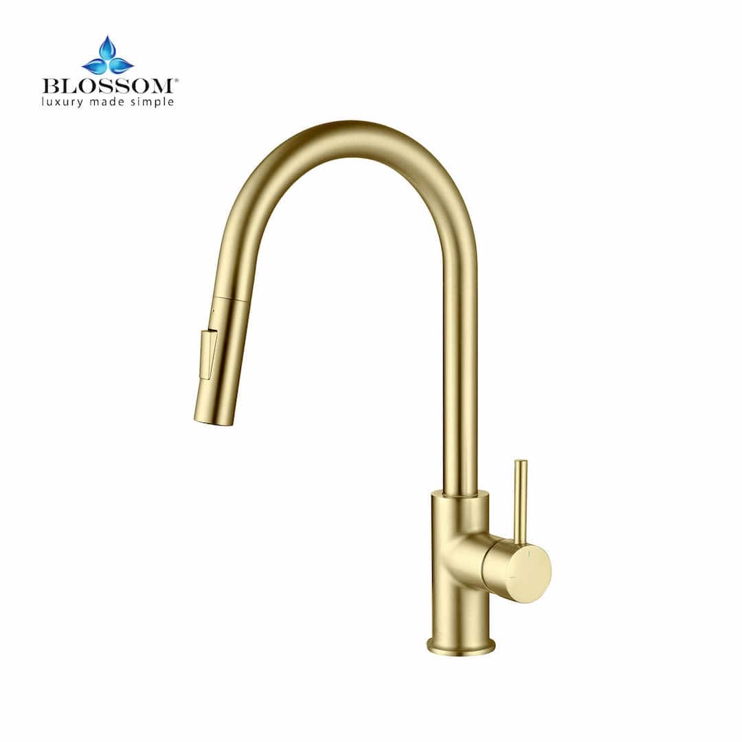 Single Handle Pull Down Kitchen Faucet F01 206