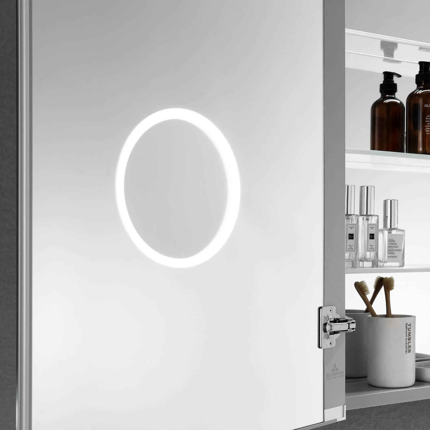 Asta Led Medicine Cabinet MCL2