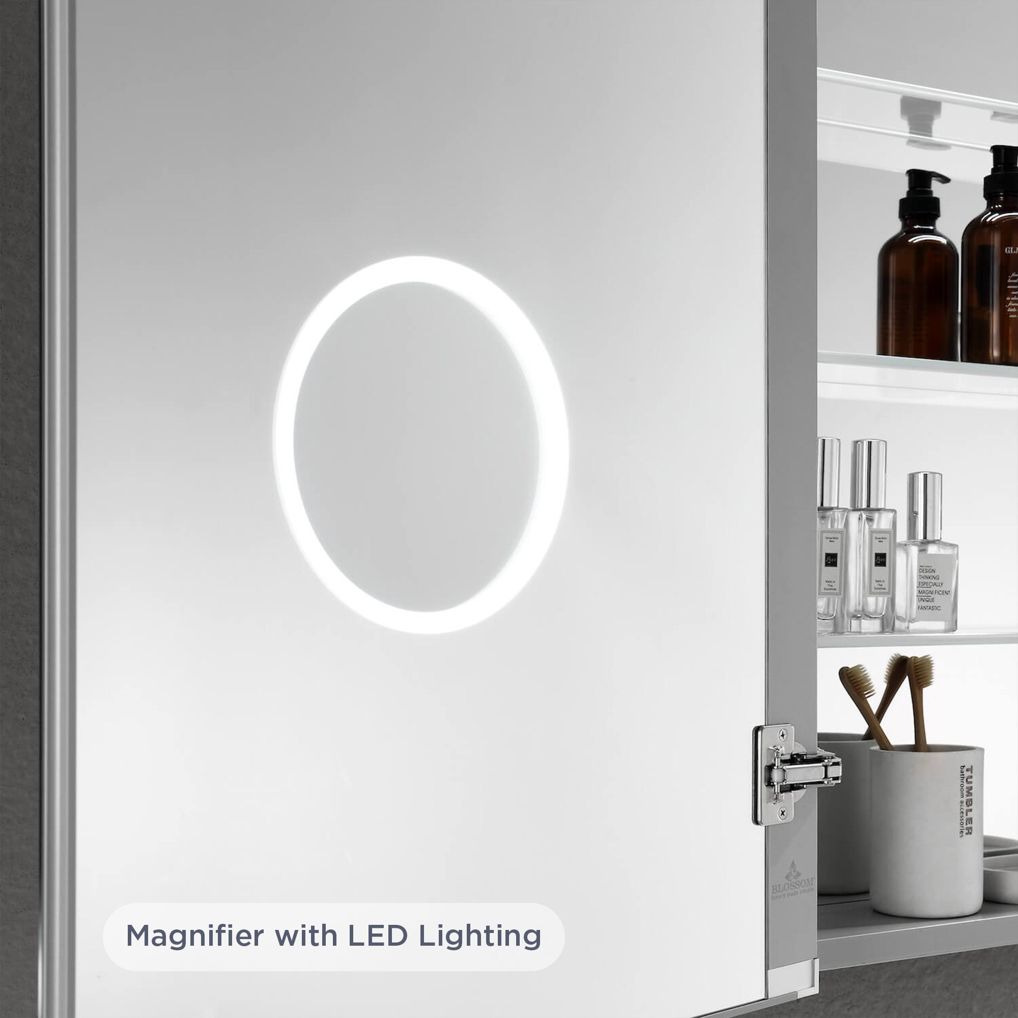 Asta Led Medicine Cabinet MCL2