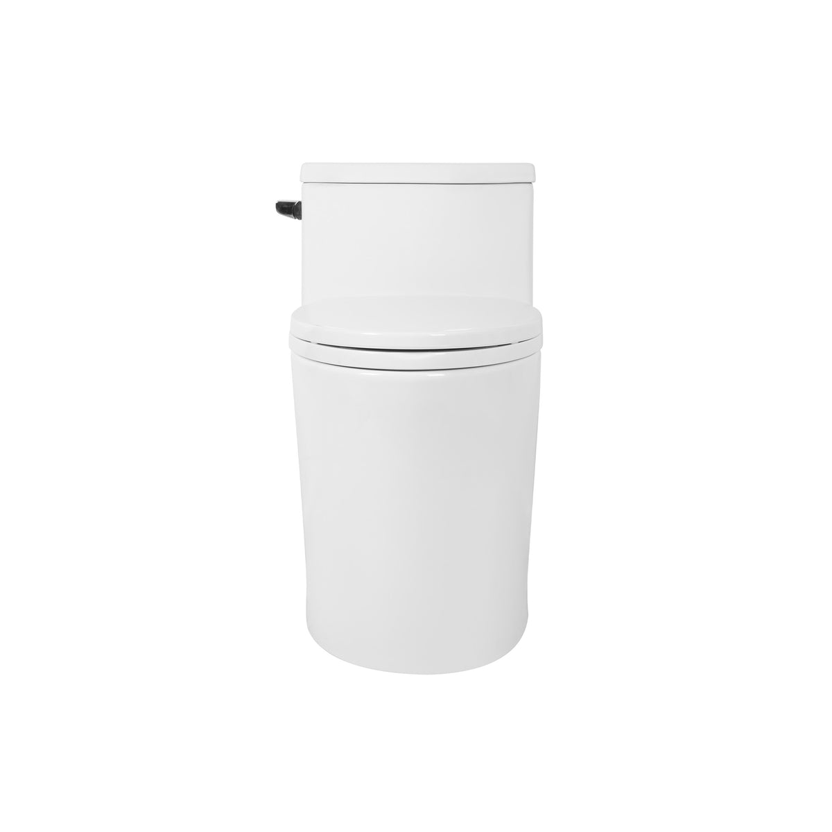 One Piece Toilet T9 06 Chair Height ADA