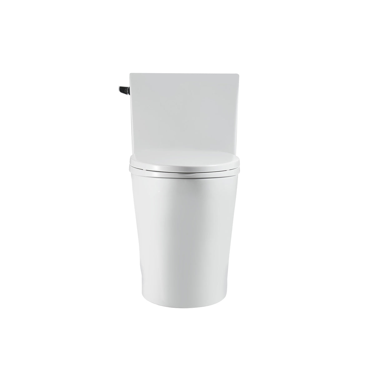 One Piece Toilet T9 07 Chair Height ADA