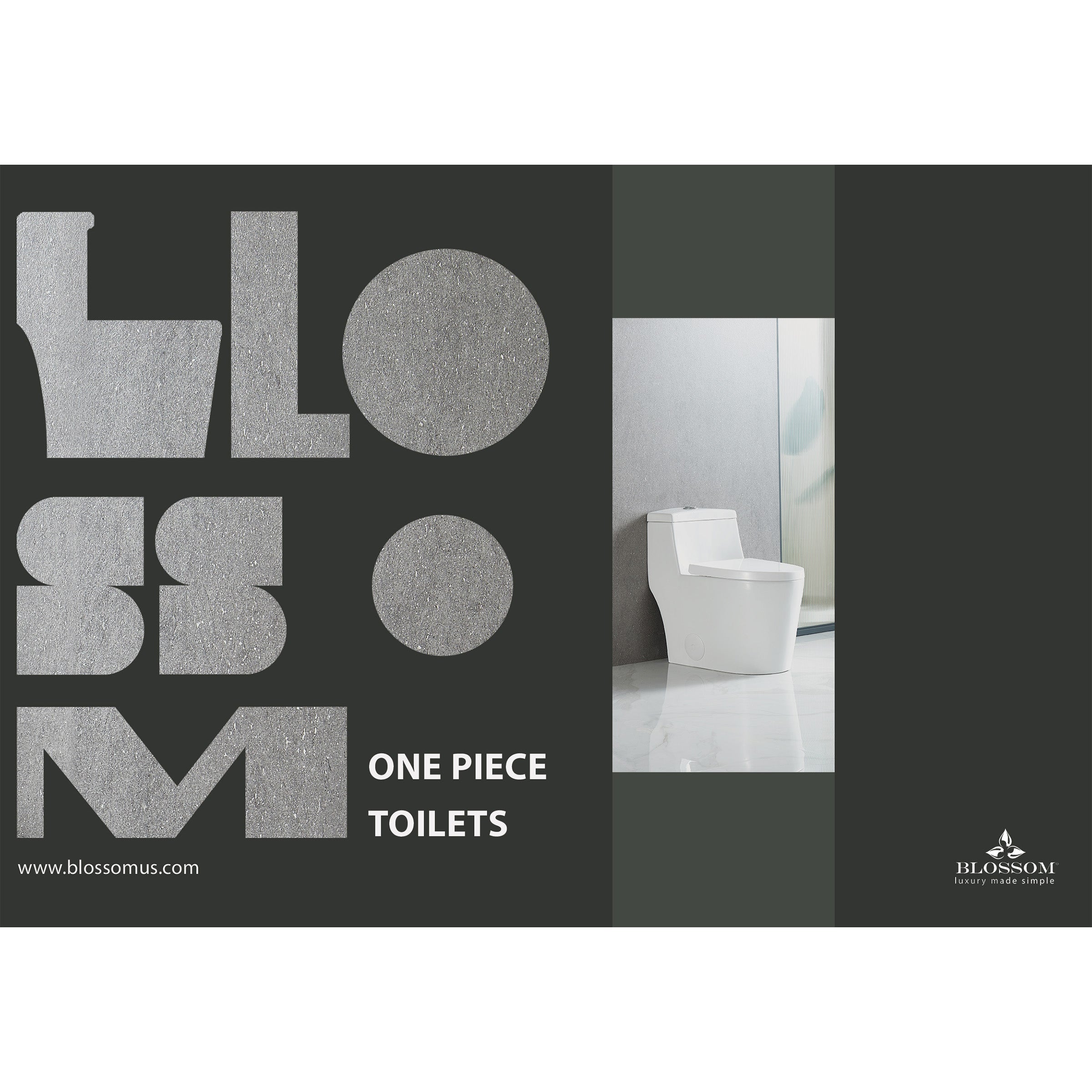 Brochure: One Piece Toilet
